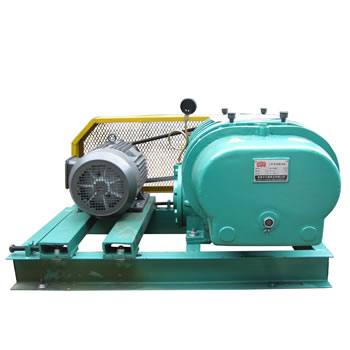 Roots vacuum pump